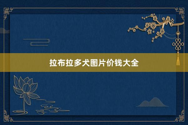 拉布拉多犬图片价钱大全